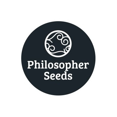 Philosopher Seeds Regular